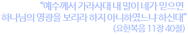 예수께서 가라사대 내 말이 네가 믿으면 하나님의 영광을 보리라 하지 아니하였느냐 하신대(요한복음 11장 40절)