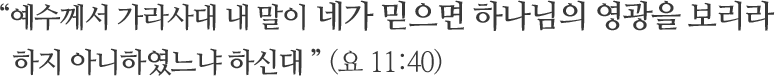 “그가 백세나 되어 자기 몸의 죽은 것 같음과 사라의 태의 죽은 것
같음을 알고도 믿음이 약하여지지 아니하고” (롬 4:19)