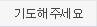 자유게시판